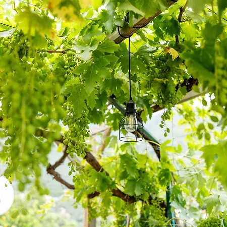 Feriehus Ca Da Nair By Interhome *