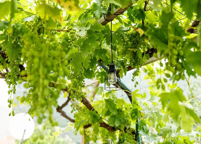 Feriehus Ca Da Nair By Interhome *